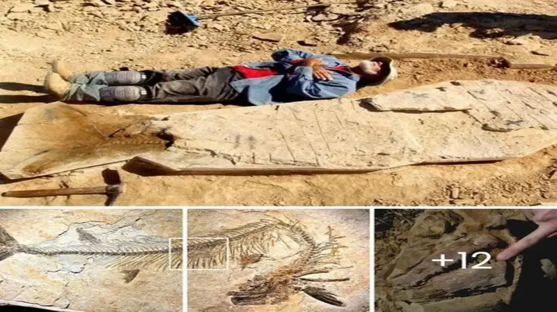 Remarkable Discovery: Richmond Unveils Australia’s Most Intact Cooyoo Australis Fossil with Intriguing Specimen in Its Belly
