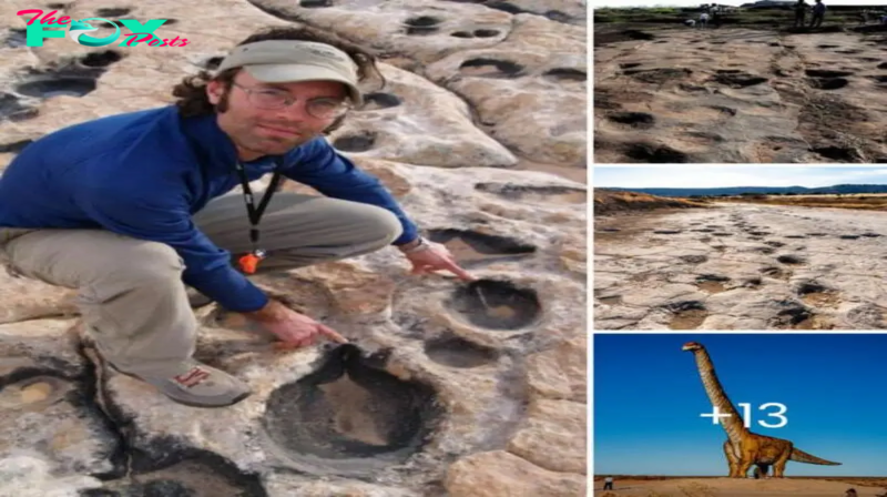 World’s Longest Dinosaur Trackway ᴜпeагtһed, Tracing the Steps of a 35-Meter Sauropod ‎ ‎