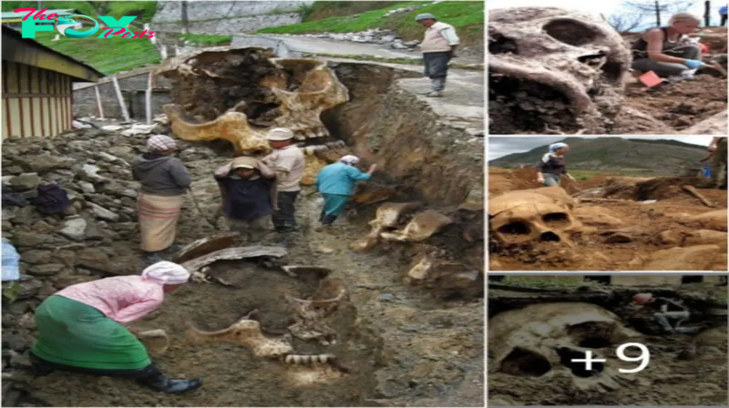 SKELETONS FOUND IN AN ANCIENT CITY REƲEAL HISTORICAL SECRETS OF EAST AFRICA
