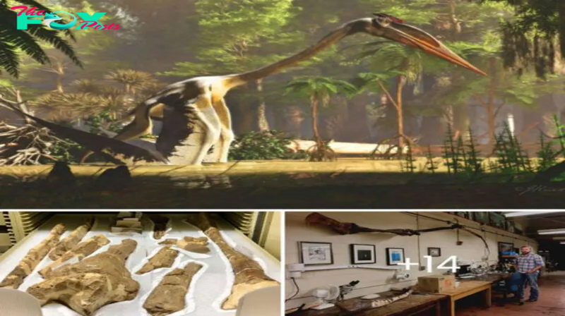 Scientists bring to life the remarkable details of Quetzalcoatlus, Earth’s largest flying reptile, offering a fascinating glimpse into the anatomy and capabilities of this legendary prehistoric flier