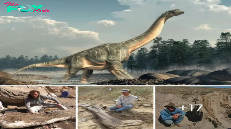 Southern Utah’s prehistoric gem: a rare 30-ton Brachiosaurus long-necked dinosaur bone unearthed in desert discovery