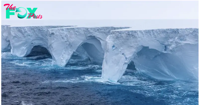 Erosion sculpts spectacular caves, arches in largest iceberg