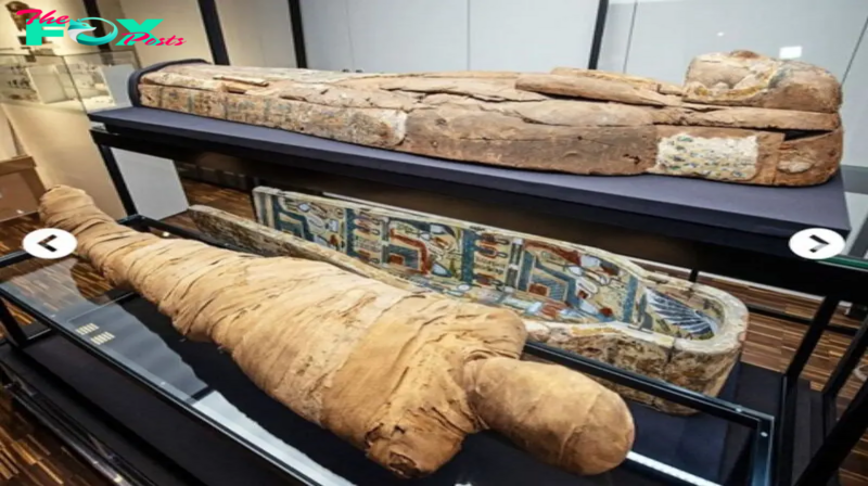 Unveiling Ancient Egyptian Mysteries: The Surprising Revelations of DNA Preservation