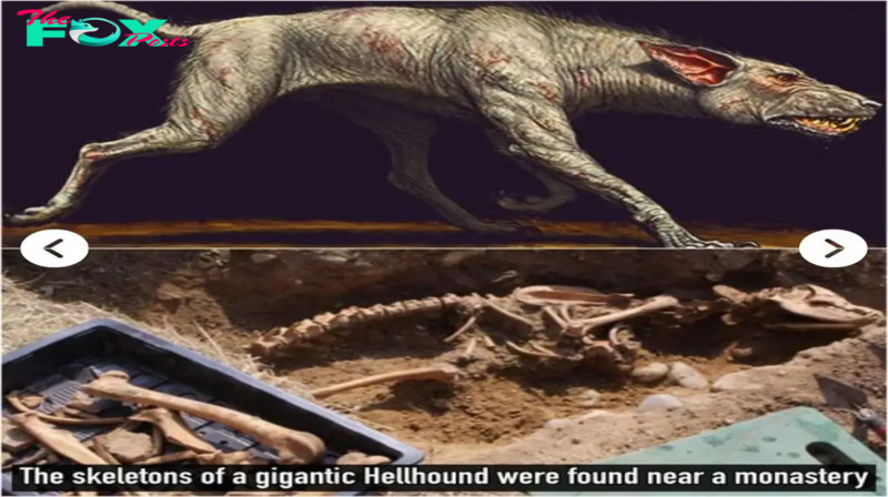 The Remains of A 7-Foot-Tall Hellhound Were Found Near An Ancient Monastery