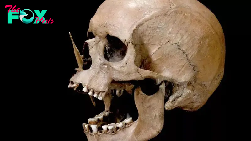 2 waves of mass murder struck prehistoric Denmark, genetic study reveals