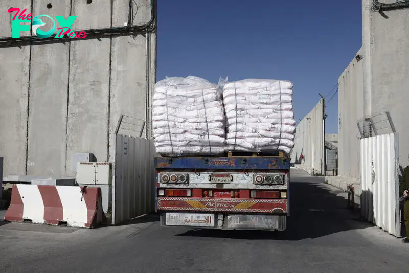 World Food Programme Halts Deliveries to Northern Gaza Amid Unsafe Conditions