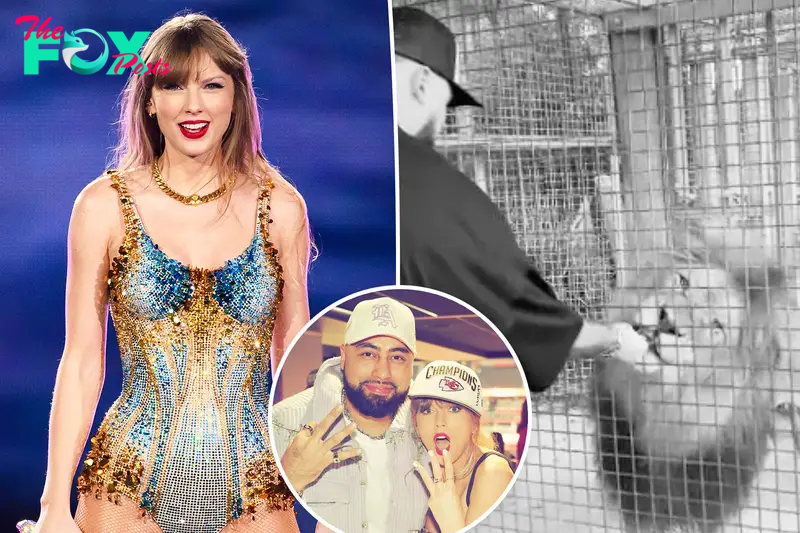 Hear Taylor Swift sweetly encourage Travis Kelce’s pal Ross to feed a lion in Sydney