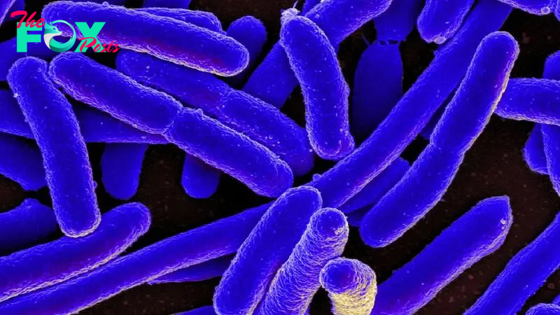 Bacteria can evolve resistance to life-saving drugs they've never seen. Here's how.