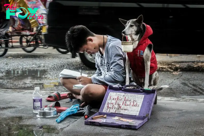 ..Urban harmony: a heartwarming tale of connection between a dog and a homeless companion amidst the city’s bustle.