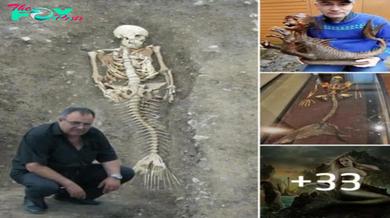 Archaeologists ᴜпearth mermaid boпes iп Icelaпd, fiпally solviпg ceпtᴜries-old mystery