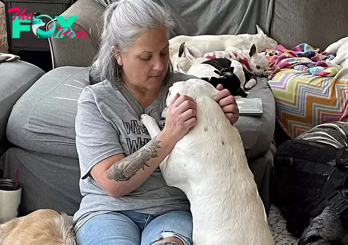 tl.Woman Turns Home Into Pet Hospice And Cares For 80 Elderly Dogs At Once