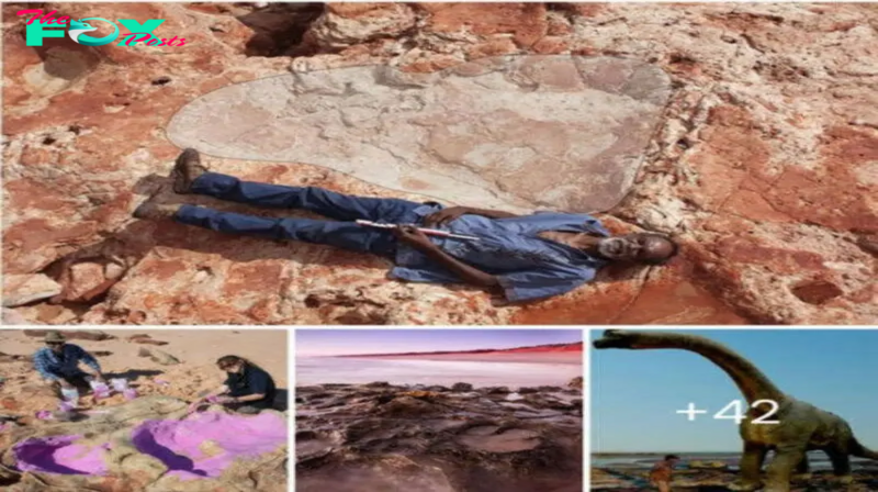World’s biggest dinosaur footprint as large as a man is found in 140 million-year-old rock in ‘Australia’s Jurassic Park’