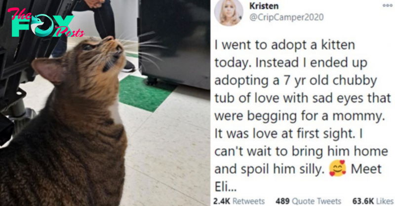 15 People Who Adopted Senior Pets So They Can Give Them A Life They Deserve
