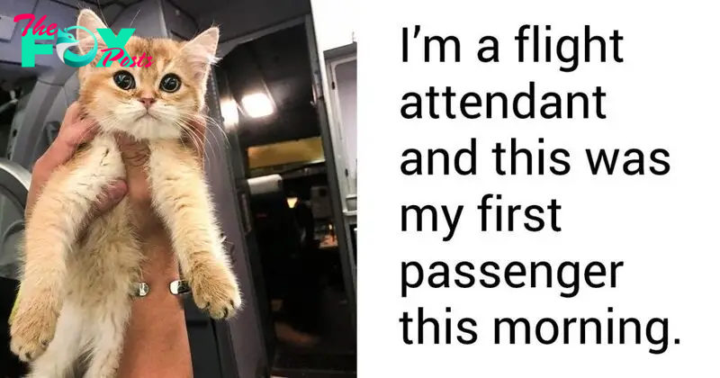 16 Pets That Took Over The Internet And Made Everyone’s Day