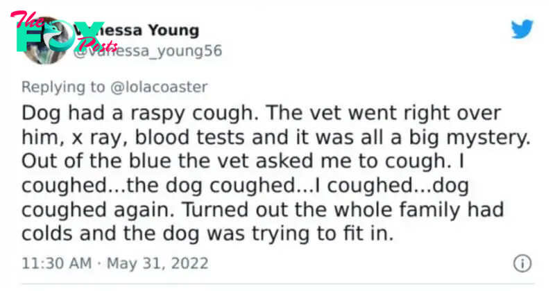 17 Pet Owners Share Their Pets Reason To Visit To The Vet That Are Too Hilarious