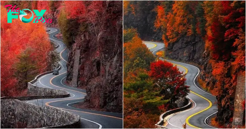 The Breathtaking Journey Along Hawk’s Nest Highway, New York, Tucked away in the rugged terrain of upstate New York lies a hidden gem, a picturesque stretch of road that’s more than just asphalt and concrete