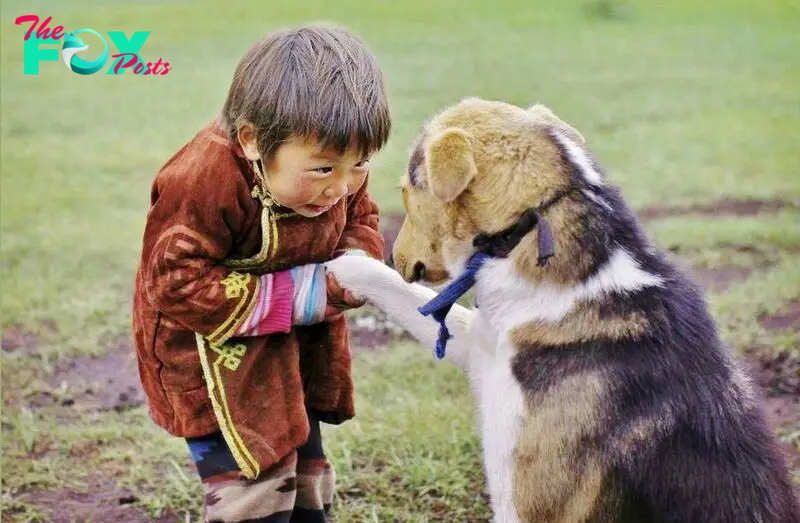 fo.The heartfelt appreciation shown by the boy towards the stray dog, who traveled over 10 kilometers to safely lead the lost 4-year-old back home, has deeply moved millions across the globe.