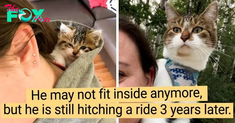 22 Of The Then Vs. Now Photos Of Pets Who Got Older But Still Act Like Babies