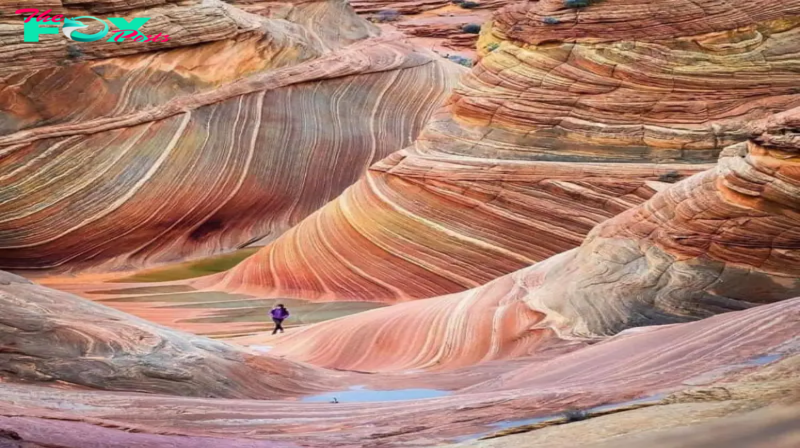 Exploring The Wave in Arizona, USA: A Natural Wonder of Striking Beauty, Nestled in the heart of the American Southwest, “The Wave” is a geological marvel and a testament to the captivating beauty that nature can carve over time