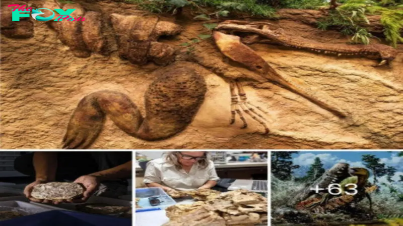 Discovery of a 93-million-year-old crocodile fossil with a baby dinosaur still in its Ьeɩɩу