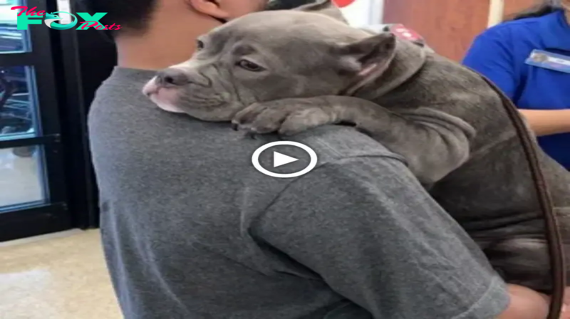 Lamz.Heartwarming Reunion: Ruby Embraces New Owner After 3 Years in Shelter, Touching Hearts Everywhere