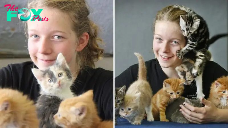 Girl Uses Birthday Money To Rescue 14 Abandoned Kittens