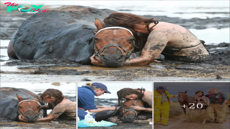 Devoured: the terrifying moment a brave young mother fought for more than three hours to keep her beloved horse calm as the tide crashed in on the animal after it got stuck in the mud ‘like quicksand’ ‘.