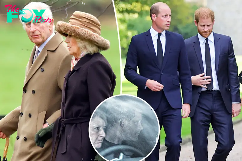 Prince Harry reached out to estranged brother William before visiting cancer-stricken dad King Charles in UK