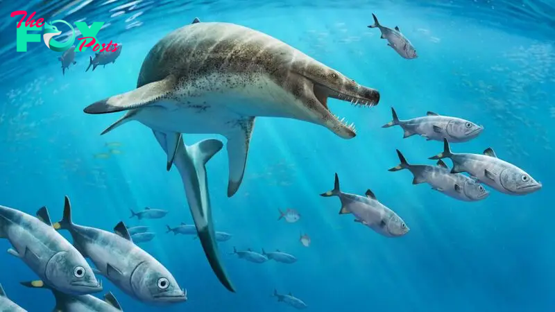 Dinosaur-age sea monster with 'face full of huge, dagger-shaped teeth' discovered in Moroccan mine