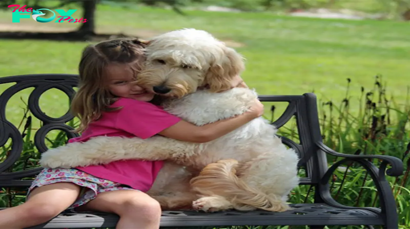 Aww “The sweet embrace of a 6-year-old girl for her dog during a challenging moment melted the hearts of everyone witnessing it.”