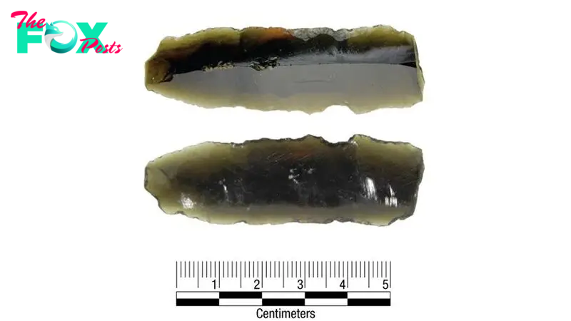 Obsidian blade could be from Coronado expedition fabled to be looking for 'Cities of Gold'