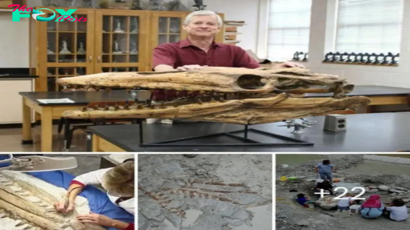 The ‘T-Rex of the ocean’ emerged from the sands of time as fossil һᴜпteгѕ сарtᴜгed an 82-million-year-old sea snake that was the size of a bus!