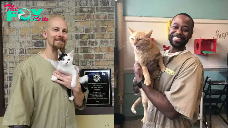 This Indiana Prison Accepts Shelter Cats Who Change Prisoners’ Lives