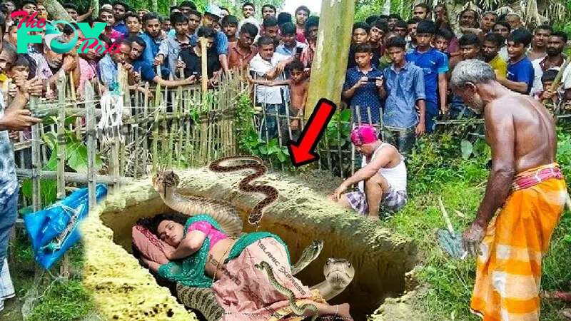 f.India’s enchanting connection between a brave woman and snakes.f