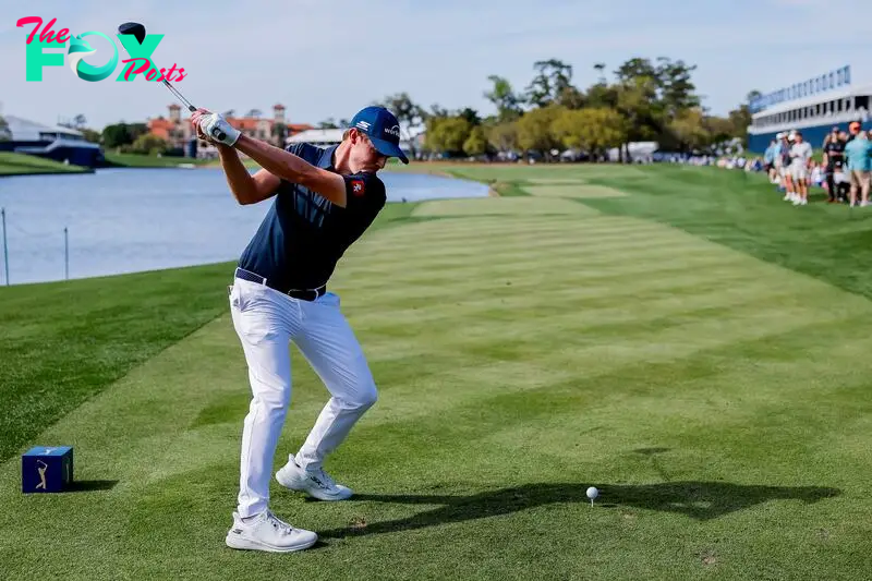 Who is playing in the 2024 Players Championship at TPC Sawgrass? Field and top players