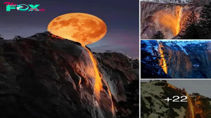 Once a Year! Witness the Breathtaking Transformation of the Waterfalls at Yosemite National Park