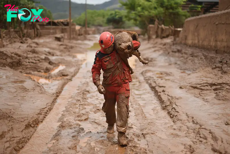 A dog covered in mud finds hope and refuge, touching hearts around the world.
