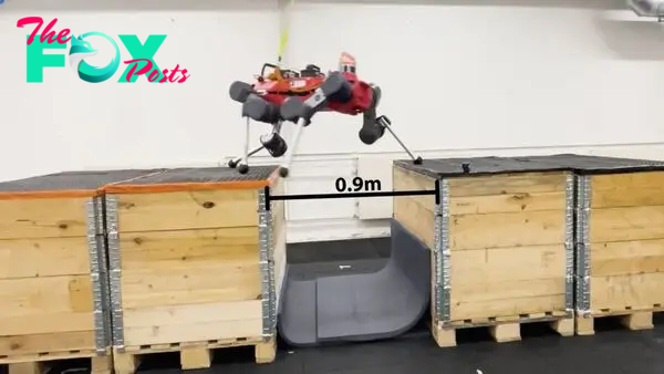 Watch a 'robot dog' scramble through a basic parkour course with the help of AI