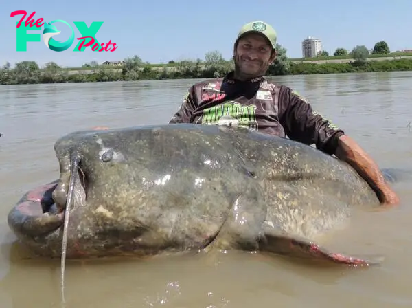 /5.World record 9ft 4¼in fish is caught in Italian river after a 43-minute struggle