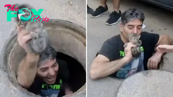 Man Jumps Into A Storm Drain To Save This Poor Kitten’s Life