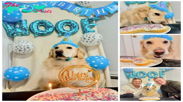 Mt  “Max’s Birthday Bash: A Tail of Celebration and Friendship” mt