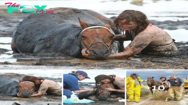Not giving up: Young mother risked her life to stay with her beloved horse for more than three hours to save the animal after it got stuck in mud ‘like quicksand’