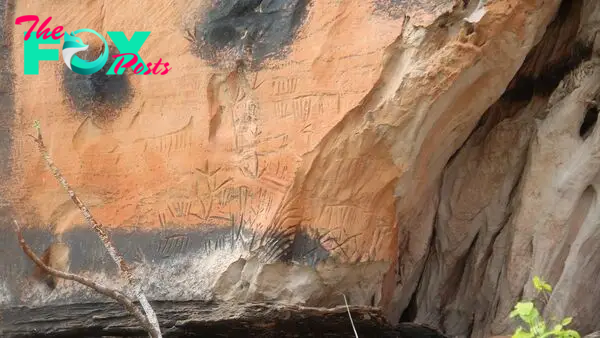 2,000-year-old carvings of celestial bodies and animals discovered on rocky cliffs in Brazil
