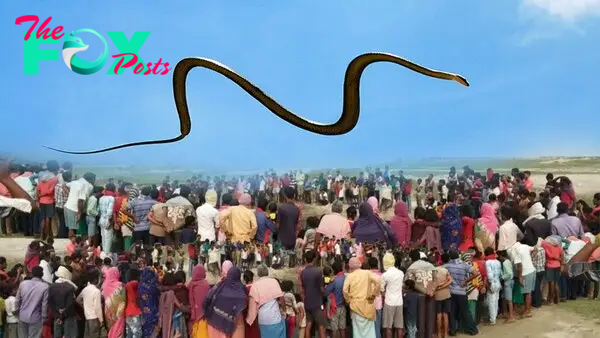 f.The giant winged snake made Indian locals shiver.f