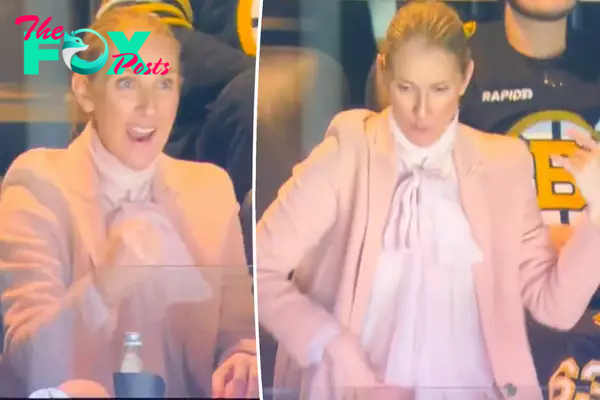 Celine Dion joyfully plays air guitar during surprise appearance at Bruins game amid stiff person syndrome battle