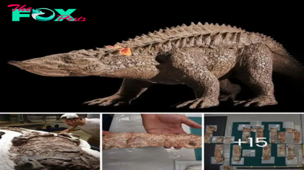 Ancient ‘Tank’: Triassic Croc Cousin Unearthed in Texas, Revealing Life 215 Million Years Ago Found With Armor 70% Intact