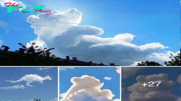 Enchanted by Nature’s Canvas: Exploring the Casual Masterpieces of Clouds
