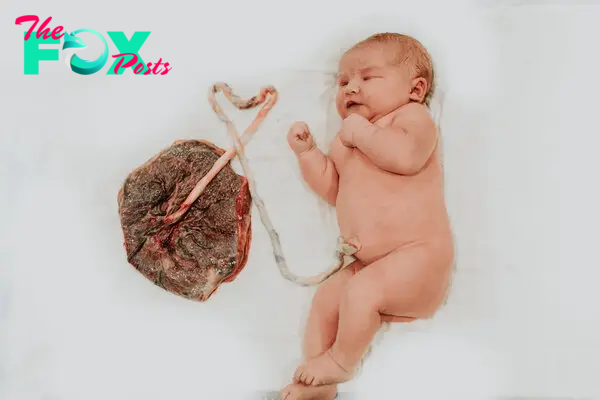 an. A newborn’s umbilical cord creates a beautiful yet meaningful image of the word ‘LOVE’, evoking joy and wonder in people’s hearts. ‎
