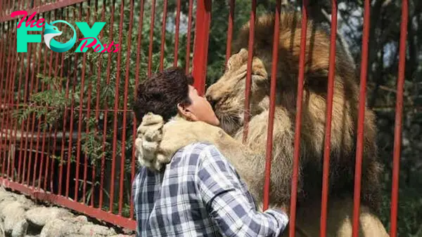 Rescued Lion Says Goodbye to Devoted Rescuer of 20 Years