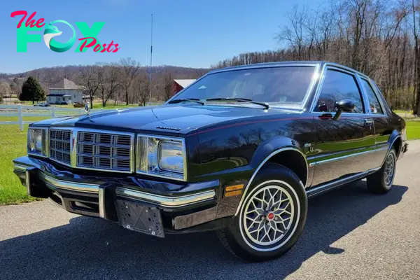 DQ Unveiling the Legend: Delving into the 1980 Pontiac Phoenix LJ